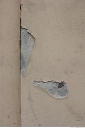 Photo Textures of Wall Plaster